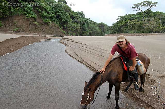 el-pinto-horseback-tours El Pinto, the best horseback tours in the southern nicoyal peninsula