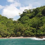 Nicolas Wessbert Absolute Natural Reserve