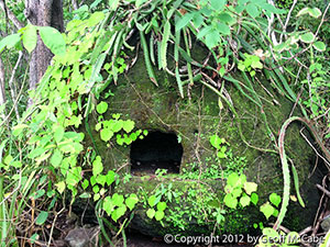 Carved stone oven at Piedra Colorada, Montezuma