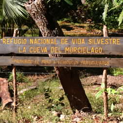 Bat Caves of Malpais