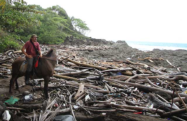 Disgusting garbage washed up on the beach