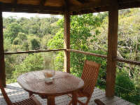 house with swimming pool for rent in Montezuma - Costa Rica