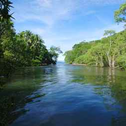 Photo by John McLaughlin - Curu Wildlife Reserve