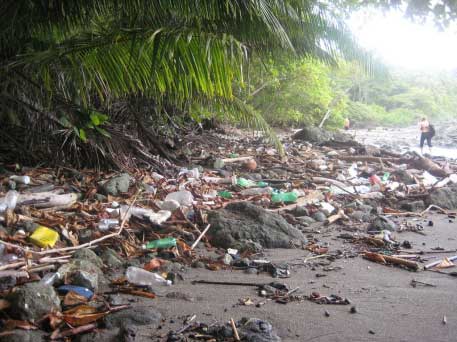 Costa Rica Beach Trash