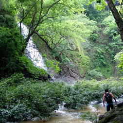 Photo by John McLaughlin - Hiking in Costa Rica