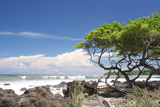 Playa los Cedros