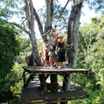 Canopy tour tree platform in Montezuma, Costa Rica