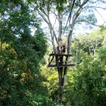 Zip Line Canopy Tour