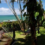 Colorful hammocks are a common sight in Montezuma