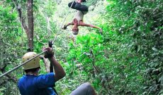 Montezuma’s Canopy Tour – You Too Can Fly Through the Treetops