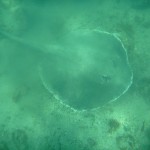 costa rica sting ray