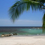 Relax under a palm tree at one of three low-priced hotels/hostels.