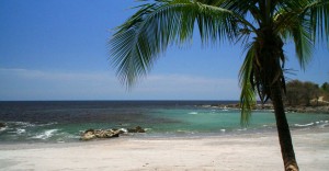 Relax under a palm tree at one of three low-priced hotels/hostels.