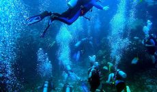 Scuba Diving in Montezuma