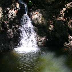 Secret Buena Vista Falls