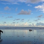 Horseback ride at Playa Hermosa