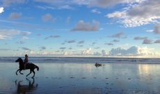 Playa Hermosa, the Most Beautiful Beach of the Santa Teresa Area