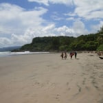 Surfers on Playa Grande Costa Rica (Montezuma)