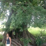 kris cook with giant pochote in Delicias