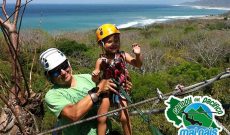 Malpais Canopy Tour