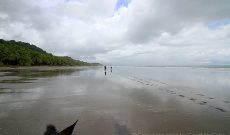 Playa Grande of Montezuma