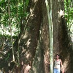 Andrea Drost with huge ceiba tree in the hills of Santa Teresa