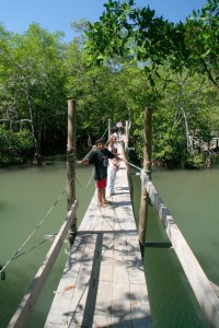 Scary but fun - rickety bridge