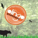 Olingo Surf and Nature Tours