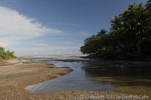 The sandy rivermouth