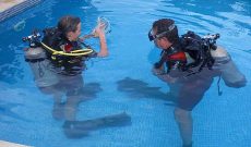 Scuba Diving Certification Course