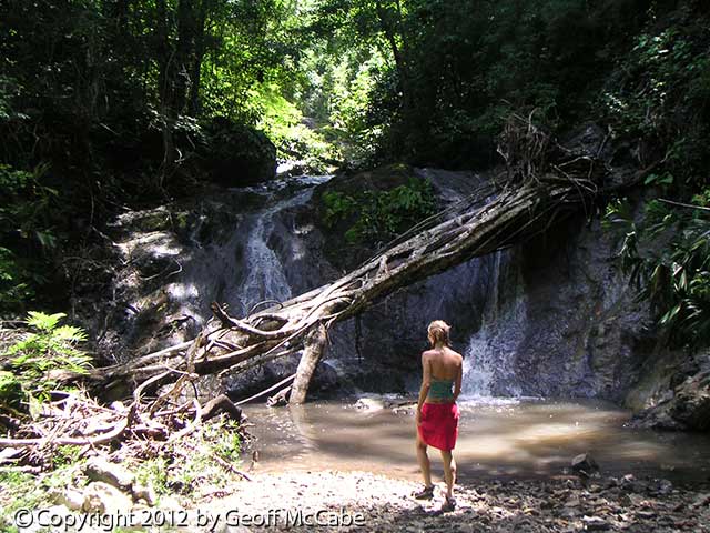 Hike up any stream and you'll probably find a waterfall