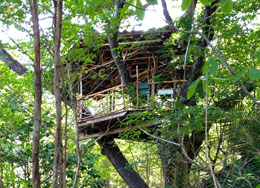 Treehouse at Cirenas