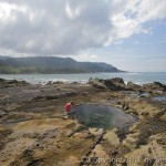 Incredibly beautiful tidepools of Malpais