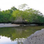 Caletas-Arío National Wildlife Refuge