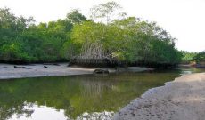 Caletas-Arío National Wildlife Refuge