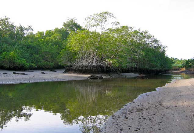 Refugio Nacional de Vida Silvestre Caletas Ario