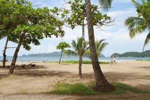 Playa Organos