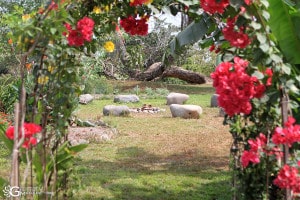 Eco Village Floral Arch