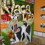 Vaca Loca 