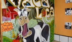 Vaca Loca