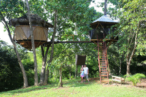 Rancho Delicioso Treehouse