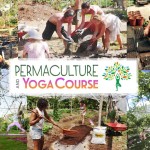 Permaculture and Yoga Retreat at Rancho Delicioso