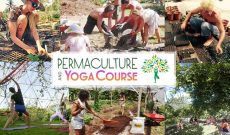 Permaculture and Yoga Retreat at Rancho Delicioso