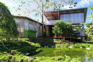 Dorms and Tilapia Ponds